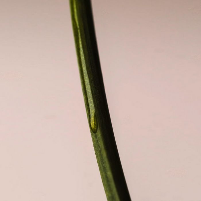 COSMEBIO : Le seul label à vraiment garantir un soin cosmétique naturel, propre et engagé