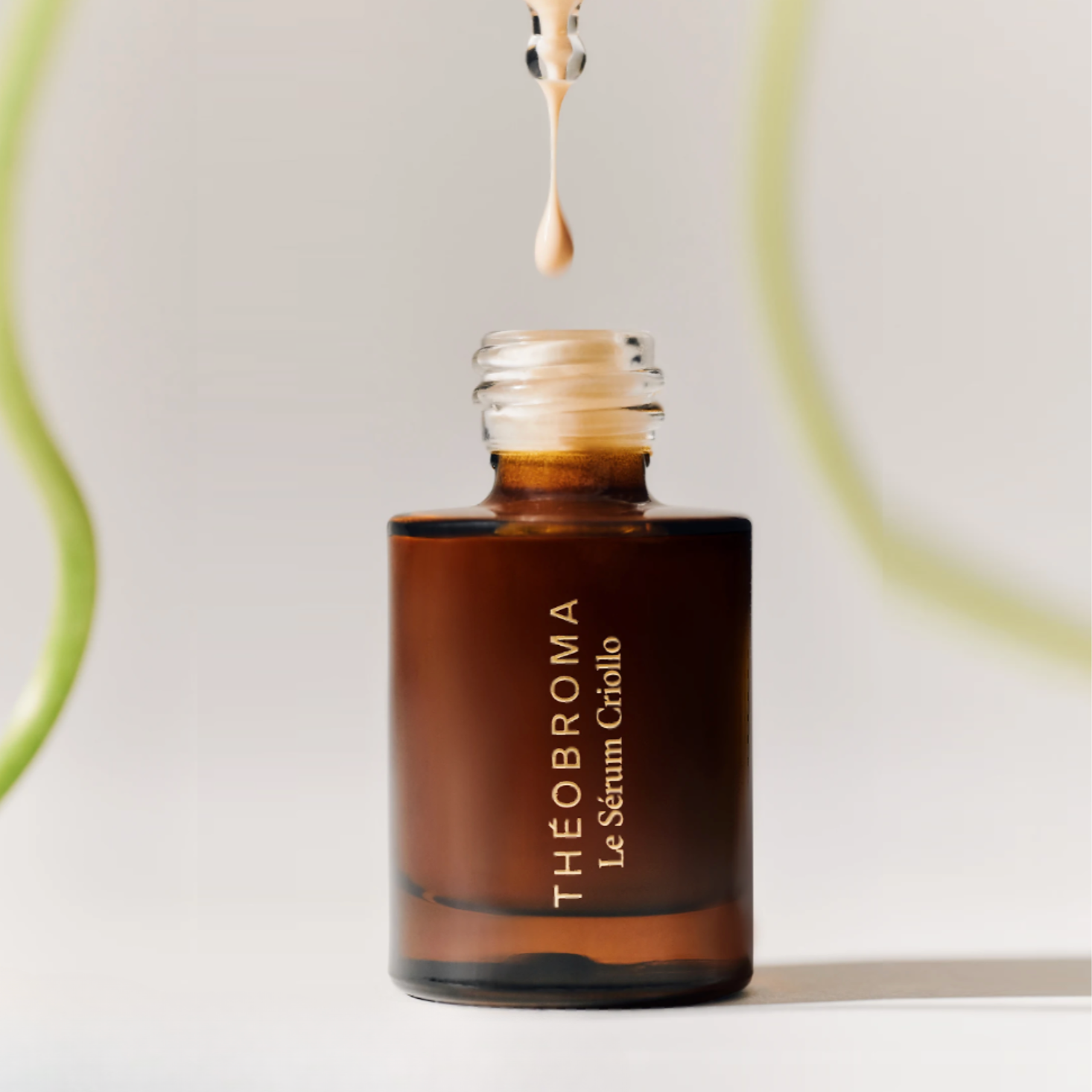 Criollo Serum – Teint-Illuminator (100 % Rabatt)