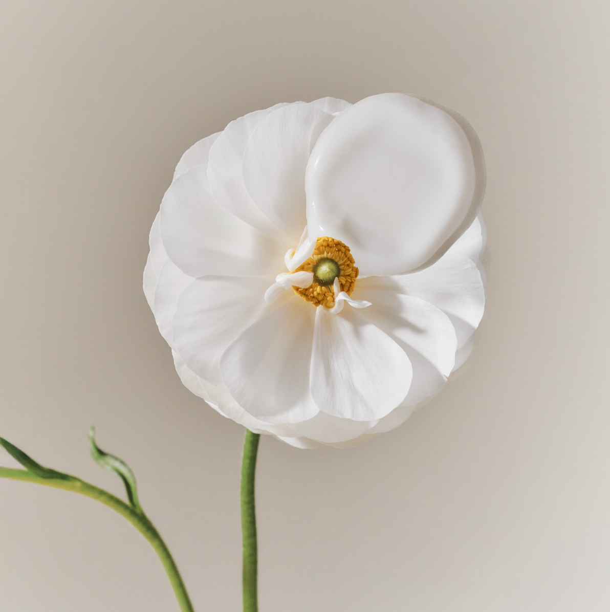 Duo Travel Anti-âge Peaux sensibles