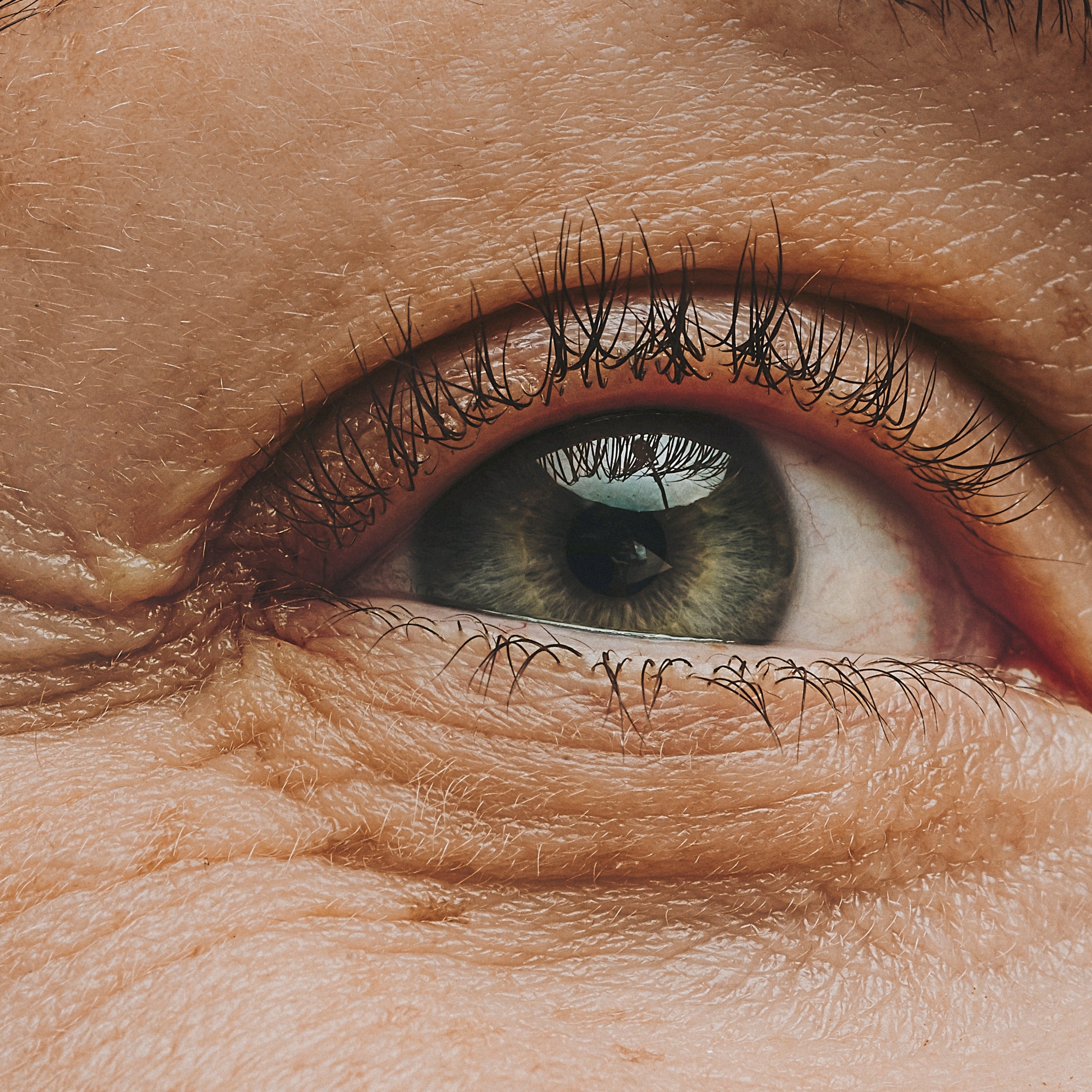 Skin longevity : la nouvelle vision du soin anti-âge qui séduit la France